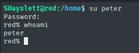 su peter con la contraseña del .bash_history da shell como peter