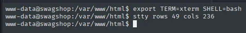 export TERM=xterm SHELL=bash y stty rows 49 cols 236 en la shell de www-data
