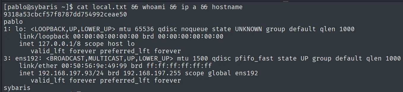 local.txt leída como pablo en sybaris, con IP 192.168.197.93