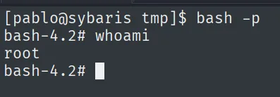 bash -p y whoami devolviendo root en sybaris