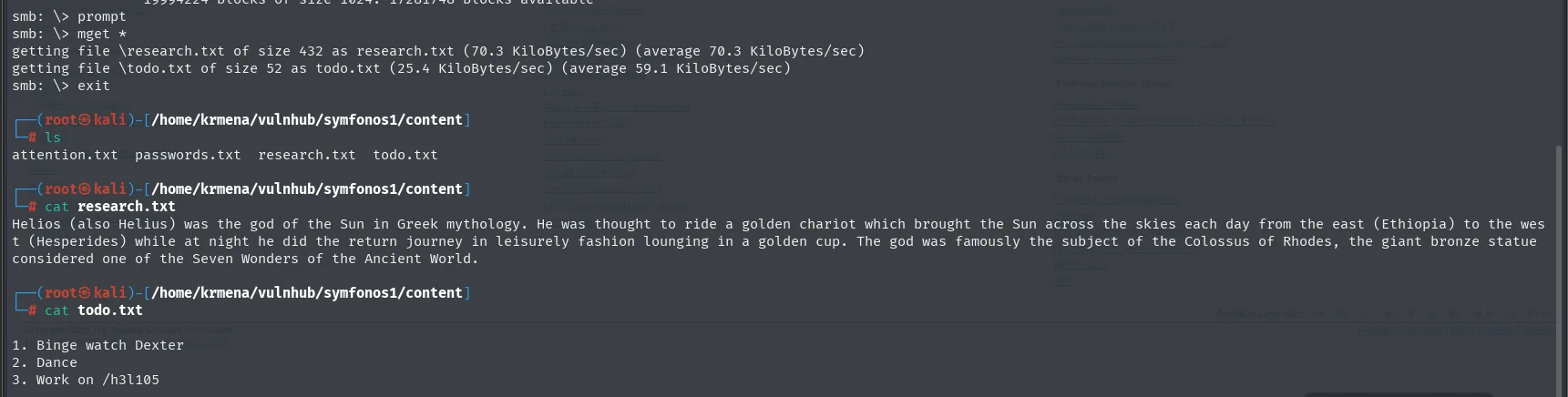 mget descarga research.txt y todo.txt; el research habla de Helios en la mitologia griega y el todo.txt menciona trabajar en /h3l105