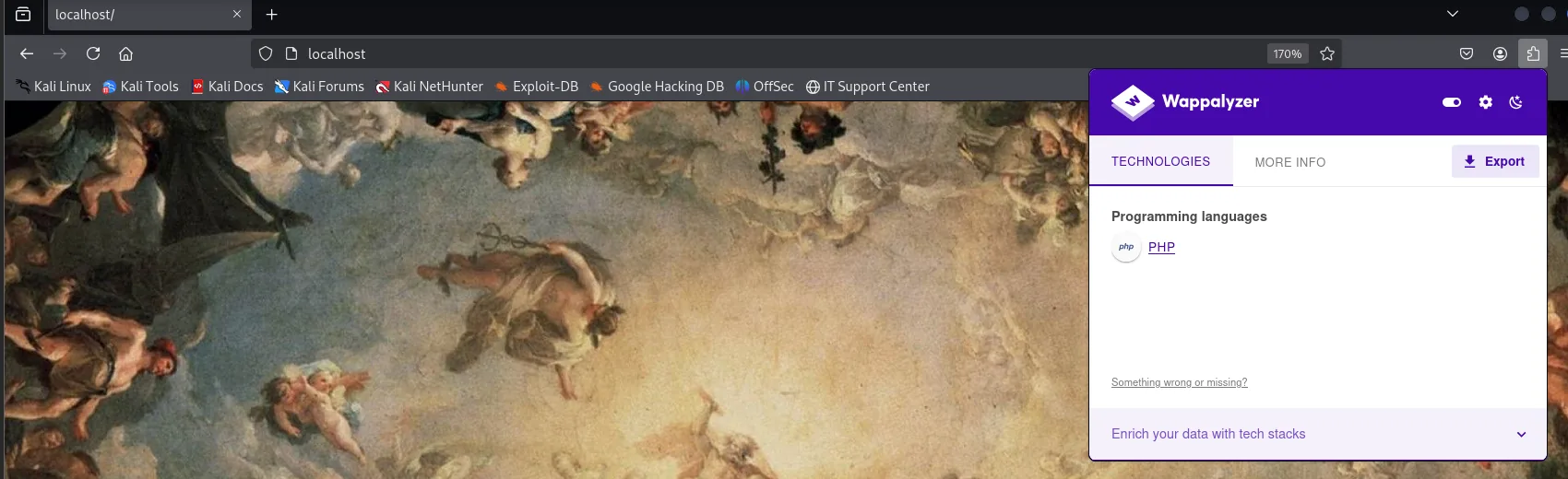 otro cuadro clasico a pantalla completa y Wappalyzer detectando unicamente PHP como lenguaje