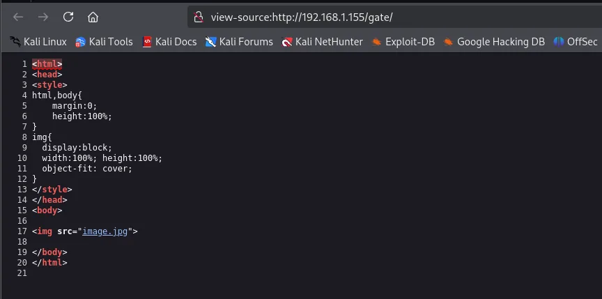 El código fuente de /gate/: el mismo HTML de 20 líneas con un img src="image.jpg", esta vez sin ningún comentario