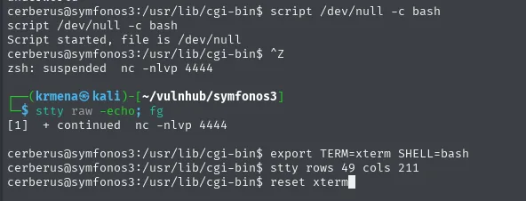 Secuencia de tratamiento de la TTY: script /dev/null -c bash, Ctrl+Z, stty raw -echo; fg, export TERM y stty rows 49 cols 211
