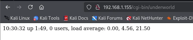 El endpoint /cgi-bin/underworld devolviendo "10:30:32 up 1:49, 0 users, load average: 0.00, 4.56, 21.50"