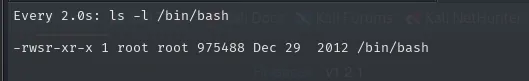 watch mostrando /bin/bash con permisos -rwsr-xr-x, es decir con el bit SUID ya aplicado