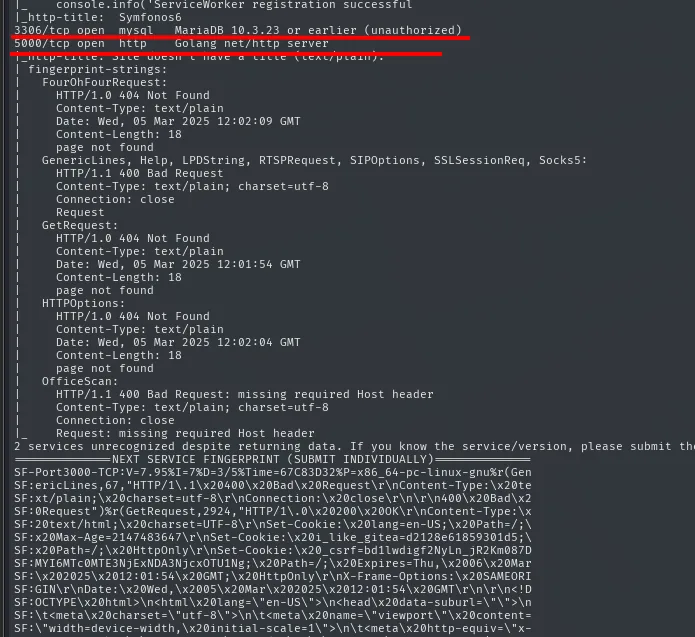 la segunda parte del escaneo muestra MariaDB 10.3.23 en el 3306 y otro servidor Golang net/http en el 5000