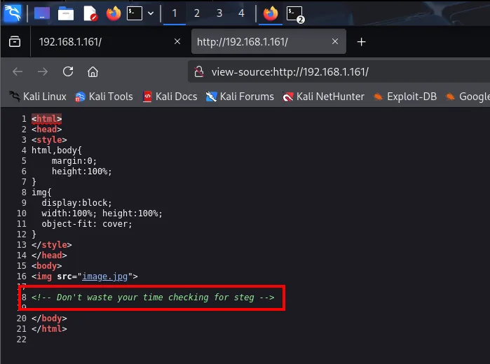 el código fuente de la portada contiene el comentario HTML "Don't waste your time checking for steg"