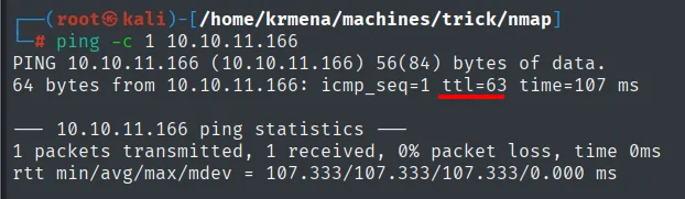 ping a 10.10.11.166: ttl=63 apunta a Linux