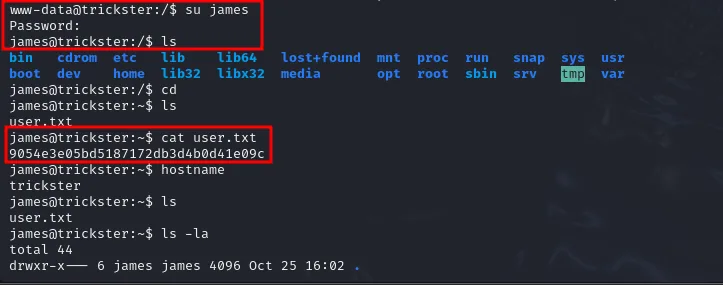 su james acepta la contraseña, el prompt cambia a james@trickster y el cat de user.txt devuelve la flag