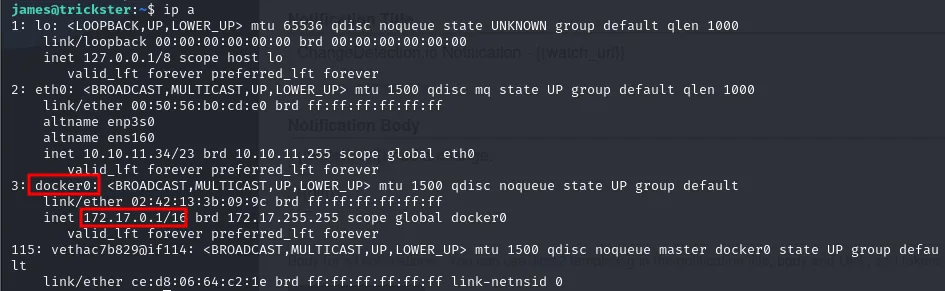 ip a muestra eth0 con 10.10.11.34/23 y una interfaz docker0 con 172.17.0.1/16, más una veth de contenedor
