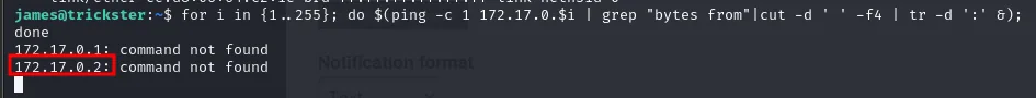 el barrido devuelve 172.17.0.1: command not found y 172.17.0.2: command not found, que son los dos hosts que respondieron