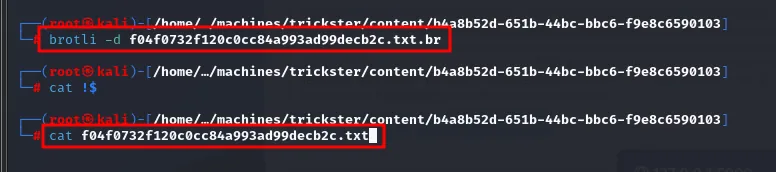 el brotli -d descomprime el fichero y el cat muestra su contenido