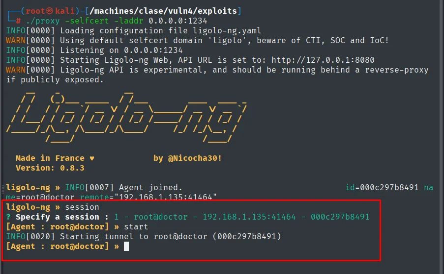 Ligolo-ng: el agente root@doctor (192.168.1.135) se une al proxy y se inicia el túnel