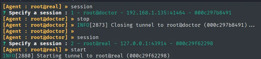 Segunda sesión de Ligolo-ng activa desde real, iniciando el túnel hacia 10.0.0.0/24