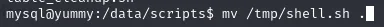 mv trayendo /tmp/shell.sh al directorio /data/scripts