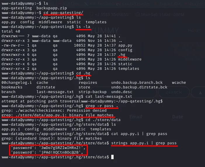 La enumeración completa de app-qatesting/.hg: ls -la mostrando el directorio propiedad de qa, el cat de last-message.txt con "attempt at patching path traversal", el grep -r pass encontrando app.py.i y el strings que revela las dos contraseñas