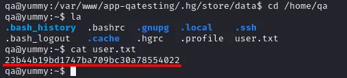 el home de qa contiene user.txt