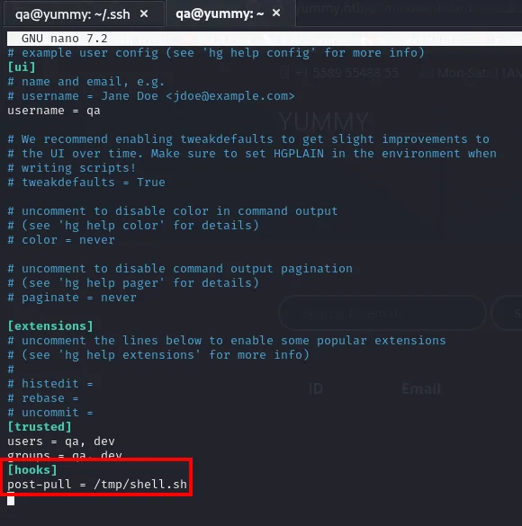 el .hgrc define un hook post-pull = /tmp/shell.sh