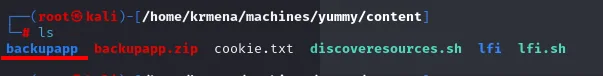 ls confirmando que se ha creado el directorio backupapp junto al zip, la cookie y los scripts lfi.sh y discoveresources.sh