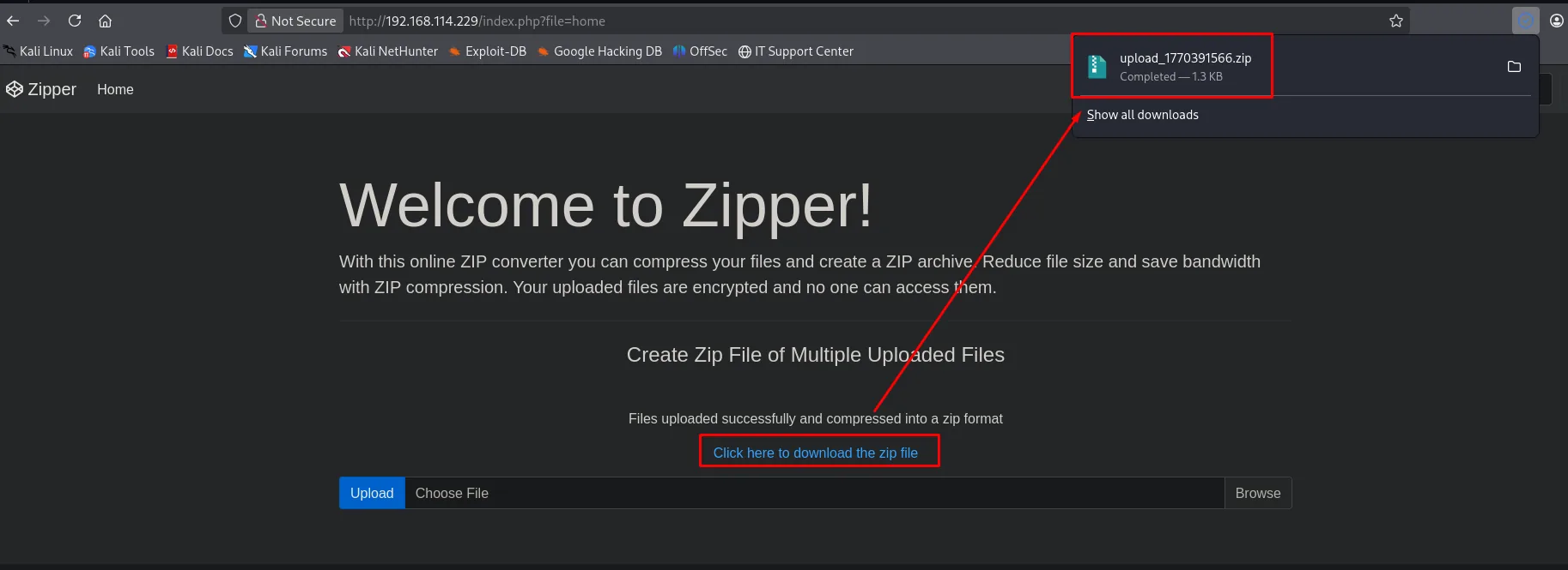 Al subir un fichero, Zipper lo comprime en /uploads/upload_<ts>.zip