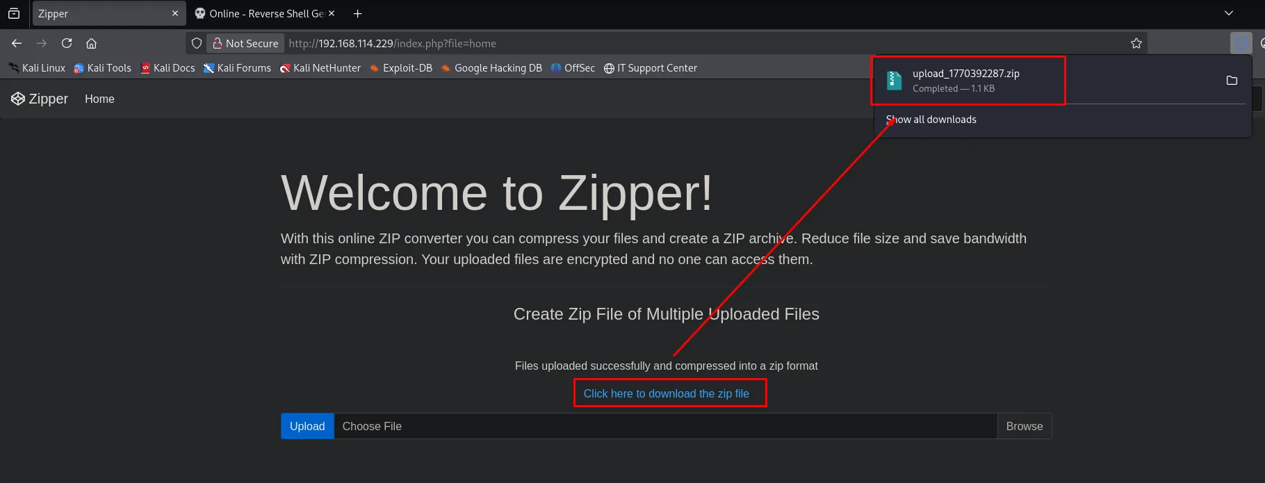 Zipper confirma la subida y genera upload_1770392287.zip, descargable